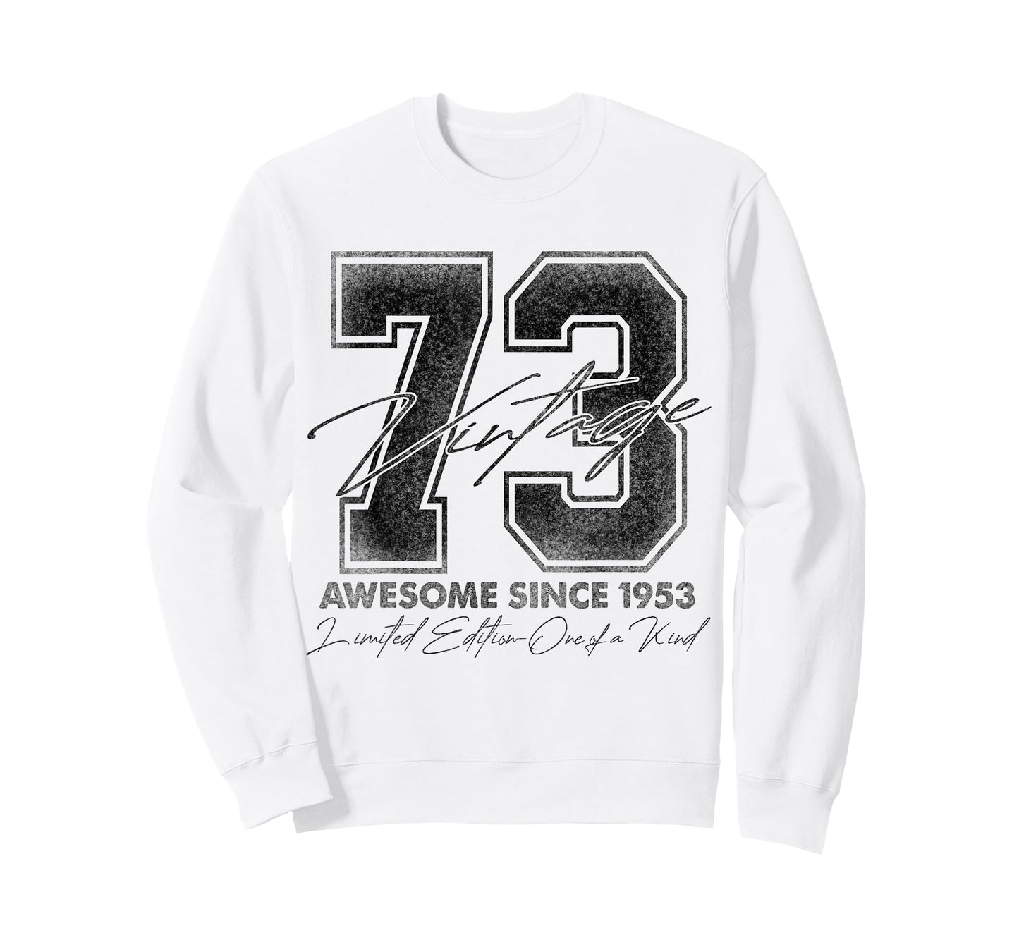 73 Year Old Gifts Vintage 1953 Limited Edition 73rd Birthday T-Shirt