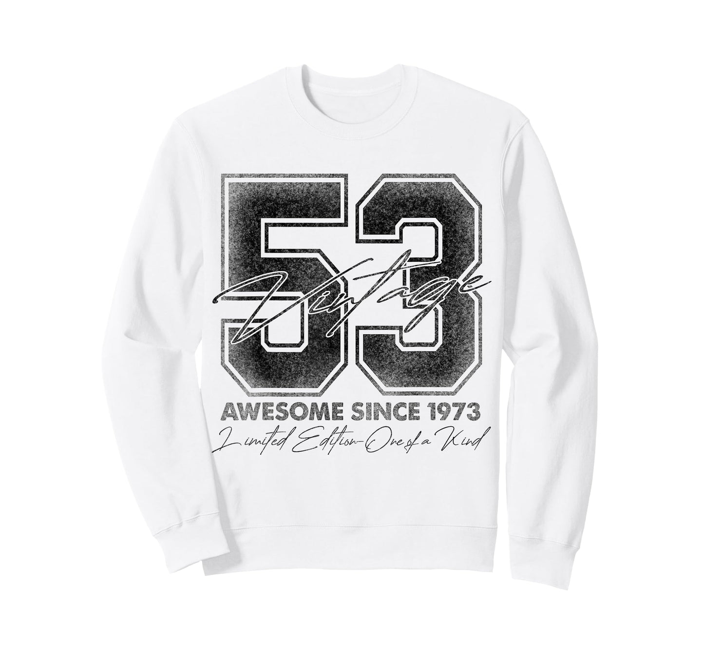 53 Year Old Gifts Vintage 1973 Limited Edition 53rd Birthday T-Shirt