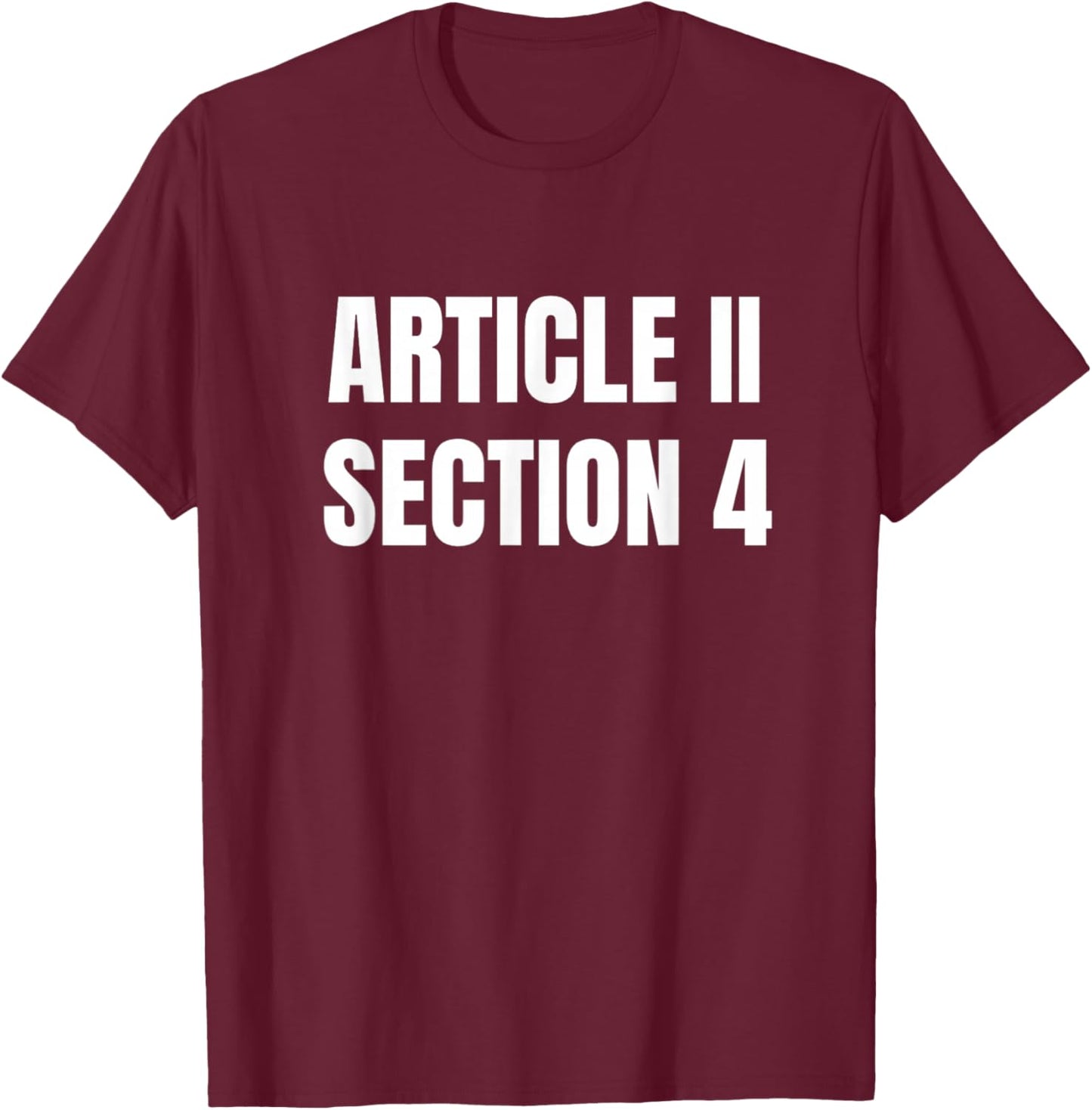 Article 2 Section 4 Constitution Saying T-Shirt - T-Shirt | Maroon