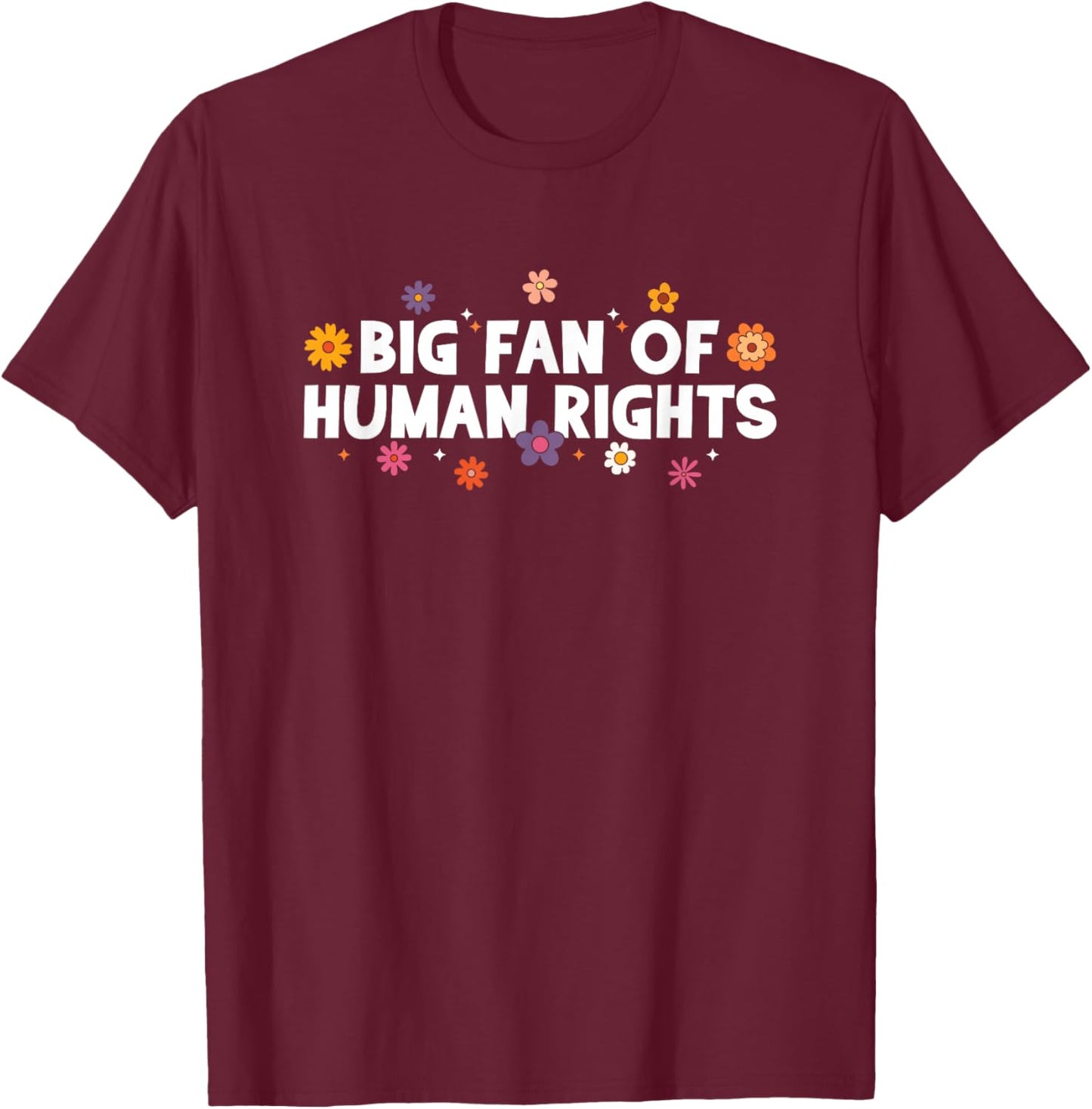 Big Fan of Human Rights, Equality, Inclusion, Protest T-Shirt - T-Shirt | Maroon