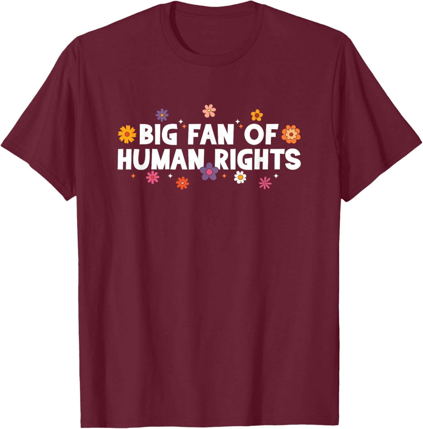 Big Fan of Human Rights, Equality, Inclusion, Protest T-Shirt - T-Shirt | Maroon