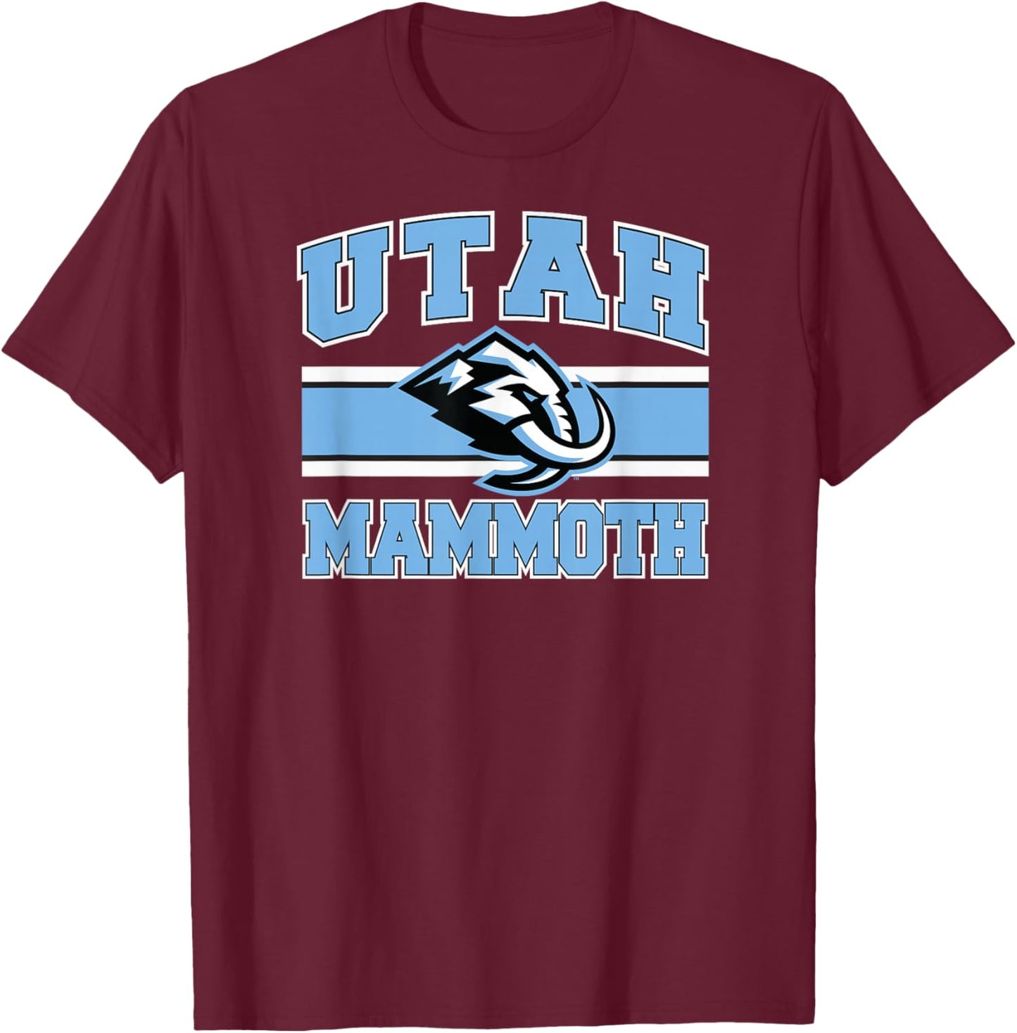 Stripe Dark Heather NHL Officially Licensed T-Shirt - T-Shirt | Maroon