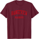 Rangeview High School HS Aurora CO Vintage Sports T-Shirt - T-Shirt | Maroon