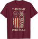 This is My Pride Flag 250 Years 1776-2026 250th Birthday USA T-Shirt - T-Shirt | Maroon
