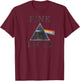 Official Pink Floyd Dark Side of The Moon Album Band Music Raglan Baseball T-Shirt - T-Shirt | Maroon