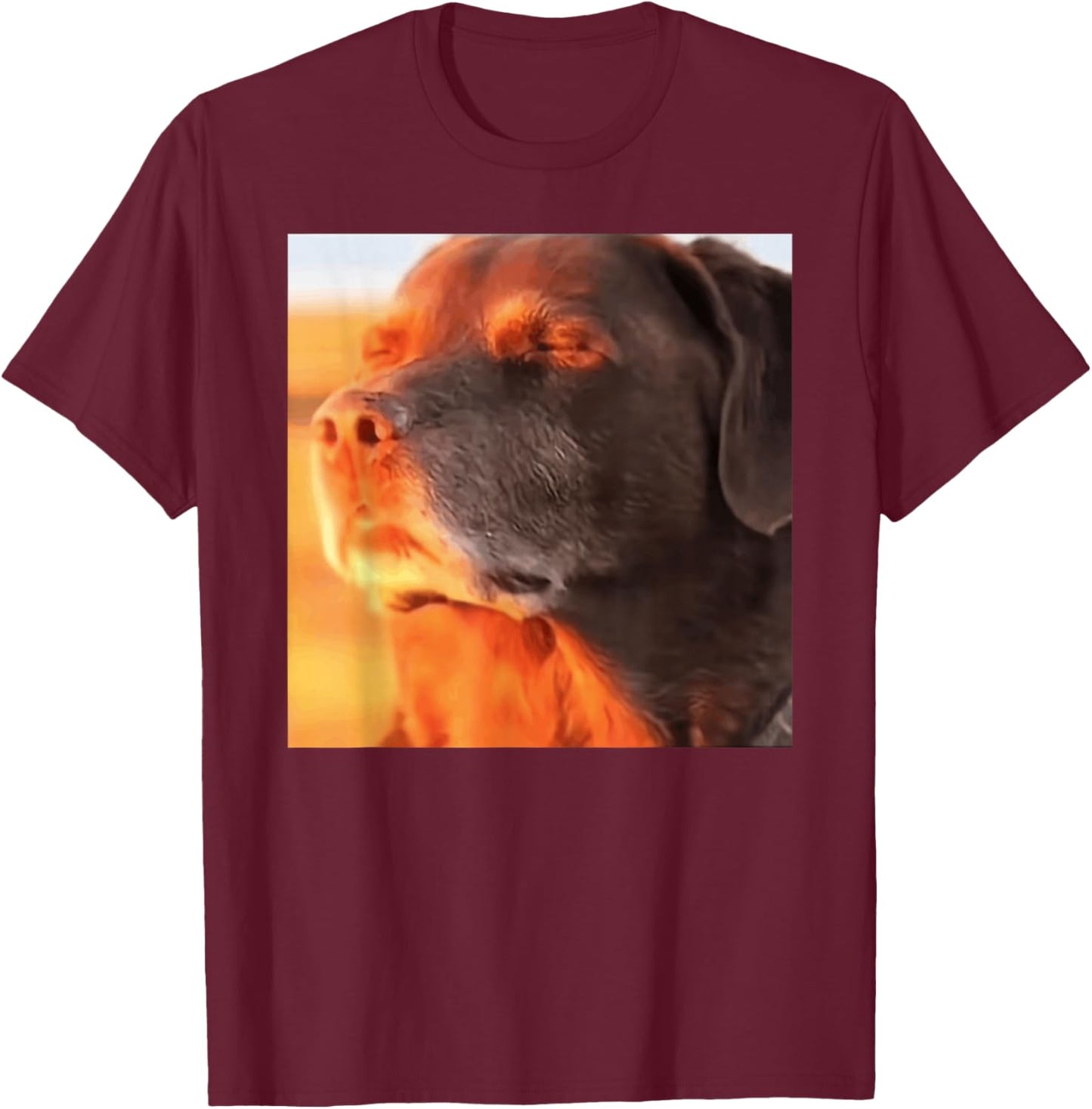 Dog in The Sunset Meme T-Shirt - T-Shirt | Maroon