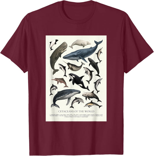 Cetaceans of The World Retro Style Identification T-Shirt - T-Shirt | Maroon
