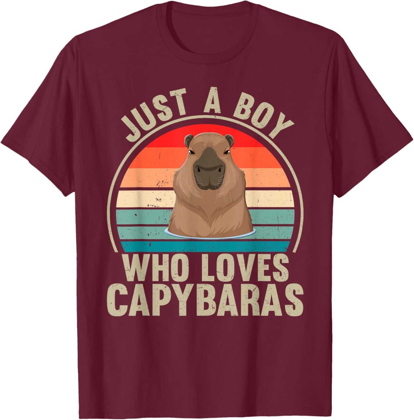 Just A Boy Who Loves Capybaras Recto Capybara Lover T-Shirt - T-Shirt | Maroon