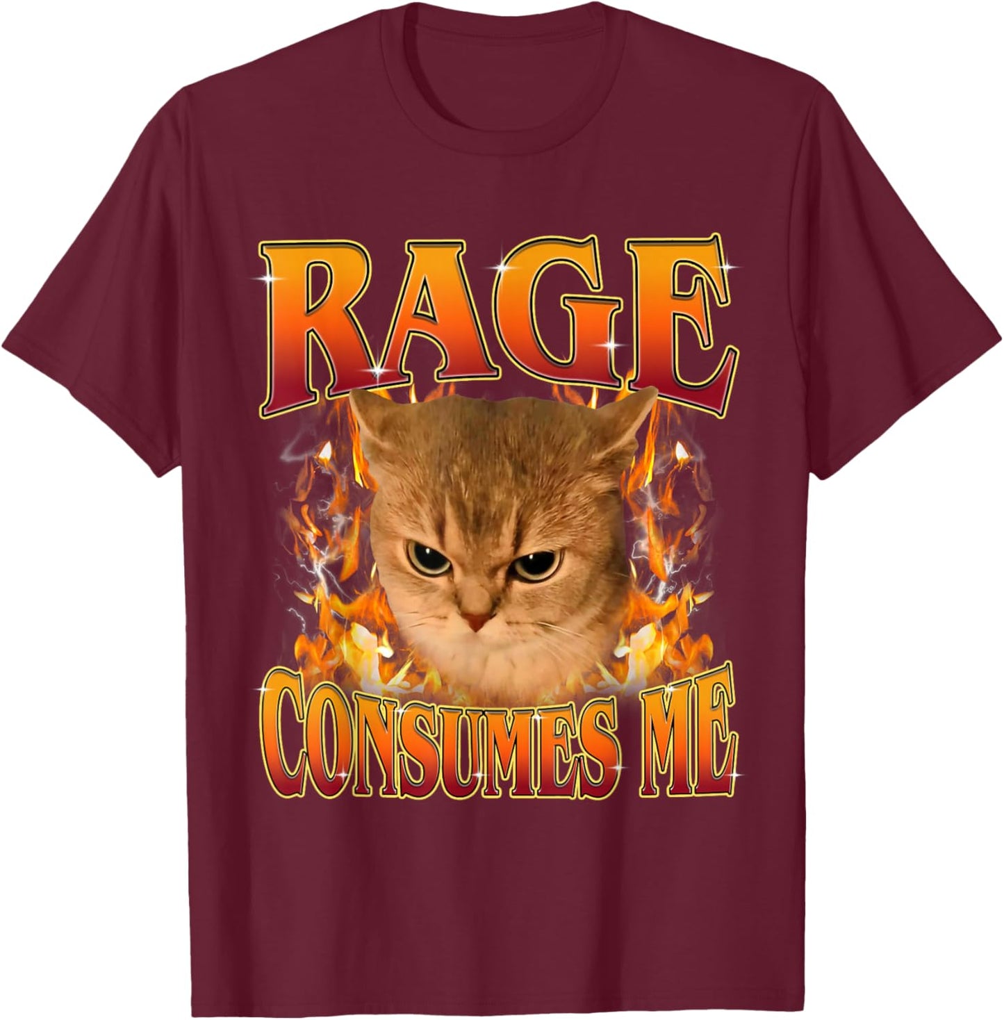 Rage Consumes Me Funny Silly Y2K Cat Meme Women Men T-Shirt - T-Shirt | Maroon
