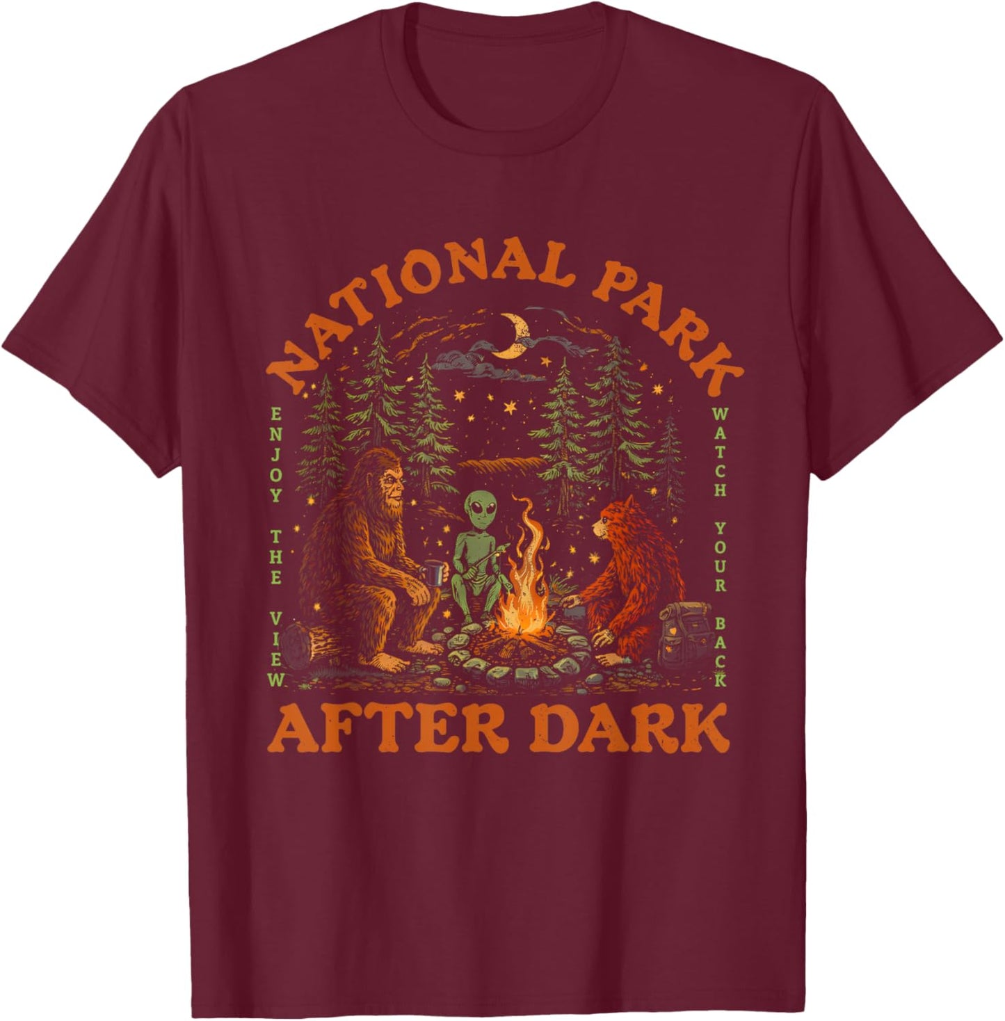 Funny National Park After Dark Men Women's T-Shirt - T-Shirt | Maroon