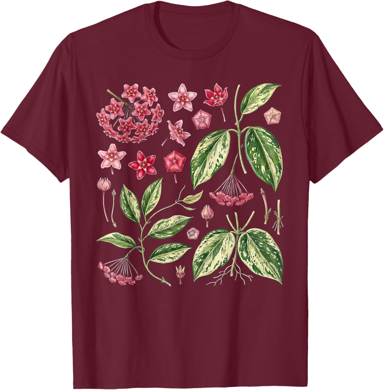 Botanical Hoya Carnosa Flower Anatomy Houseplant Plant Lover T-Shirt - T-Shirt | Maroon