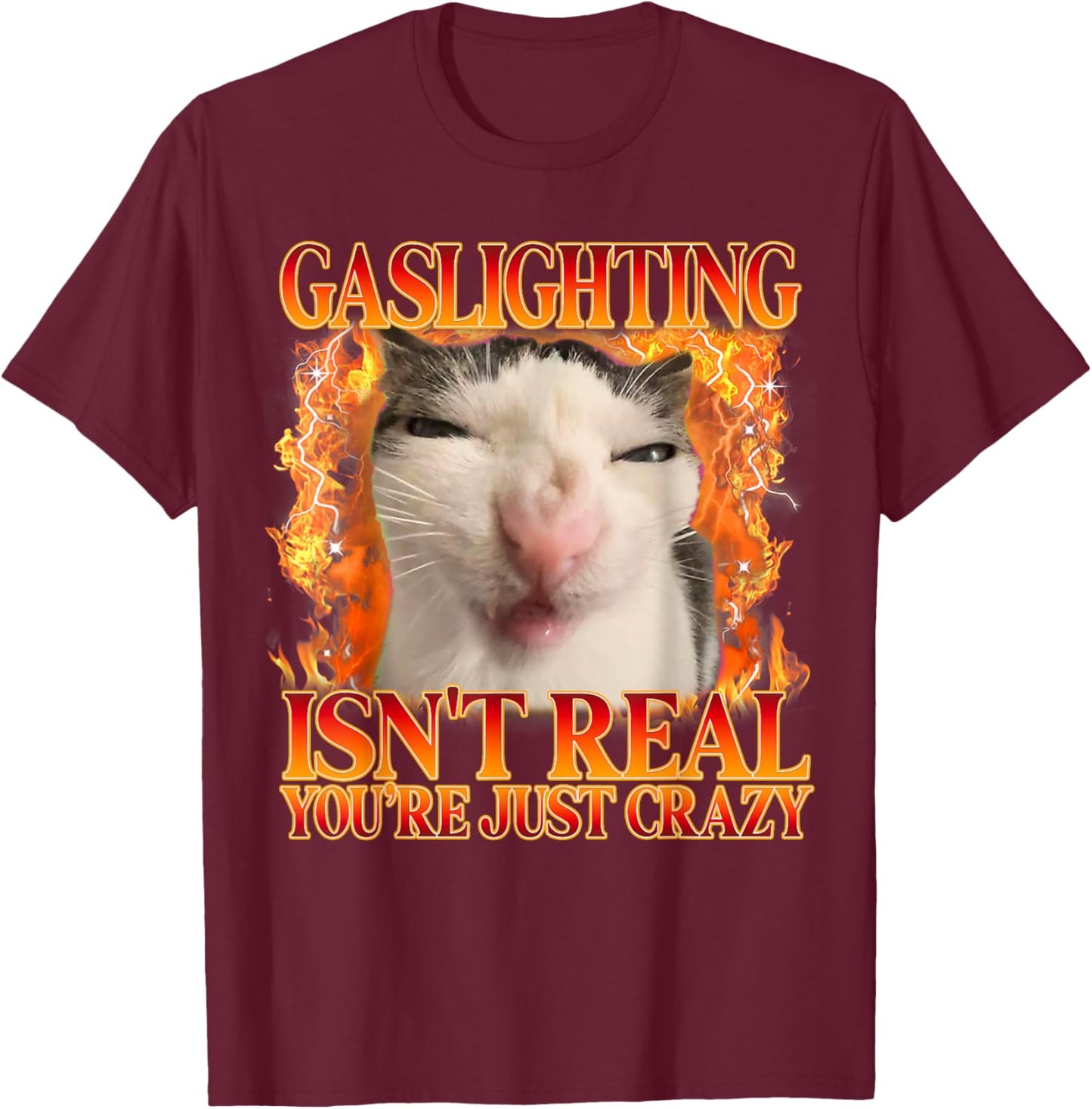 Funny Cat Meme Gaslighting Isn't Real You're Just Crazy T-Shirt - T-Shirt | Maroon