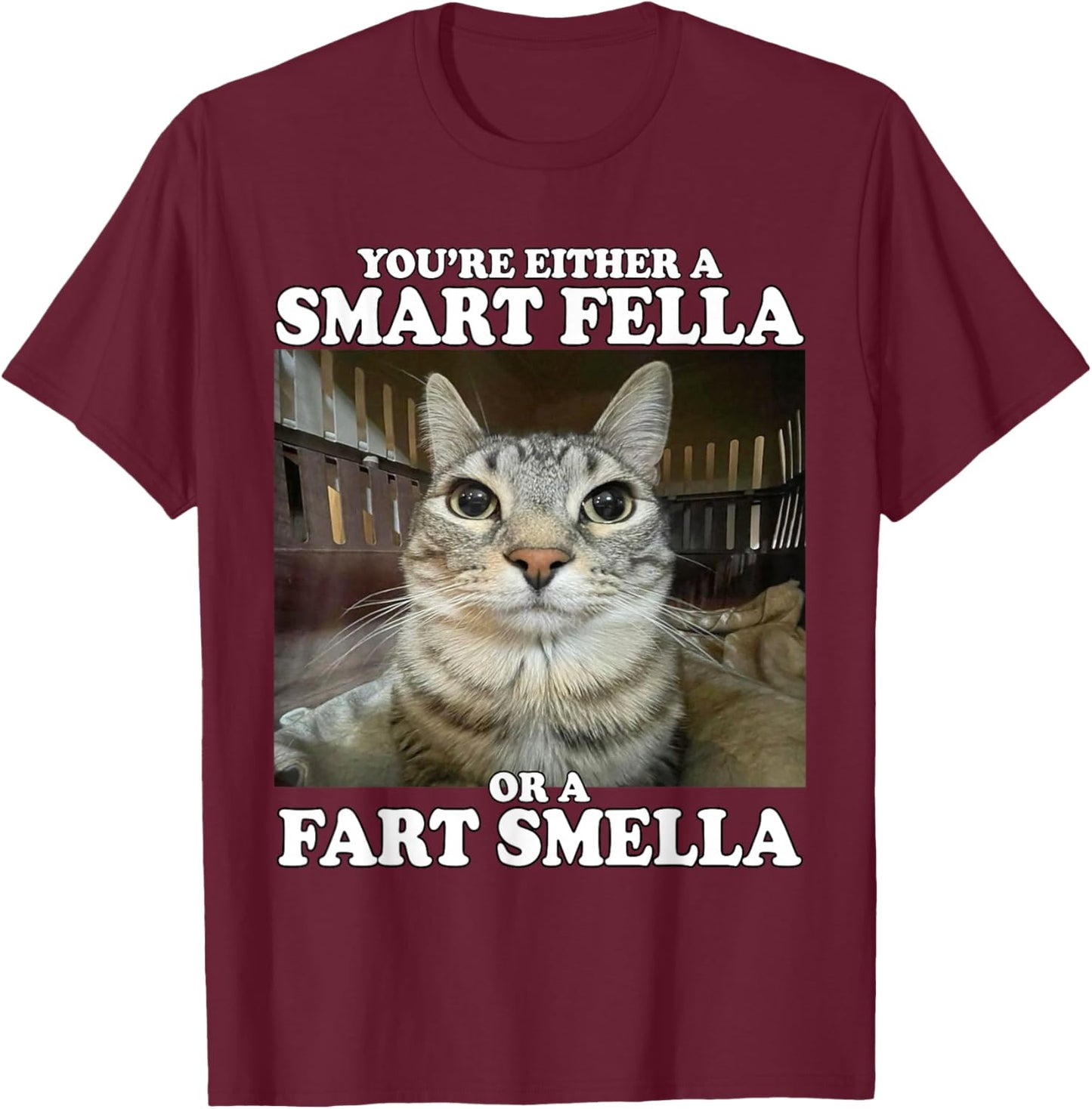 You're Either A Smart Fella Or A Fart Smella Funny Cat Meme T-Shirt - T-Shirt | Maroon