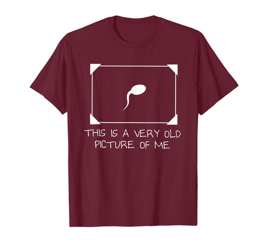 This is A Very Old Picture of Funny T-Shirt