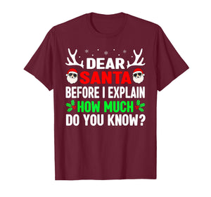 Dear Santa I Can Explain Funny Christmas Shirts Kids Adults T-Shirt