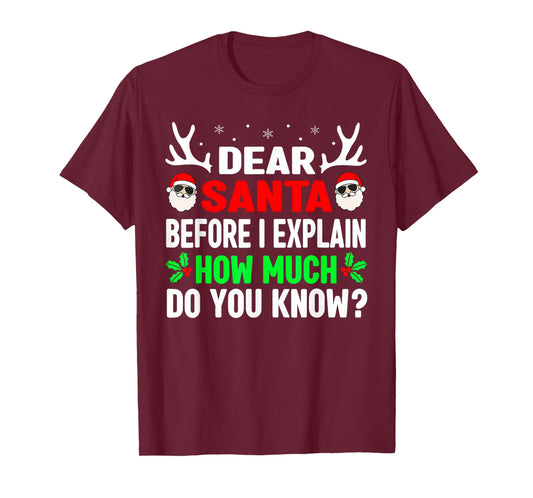 Dear Santa I Can Explain Funny Christmas Shirts Kids Adults T-Shirt