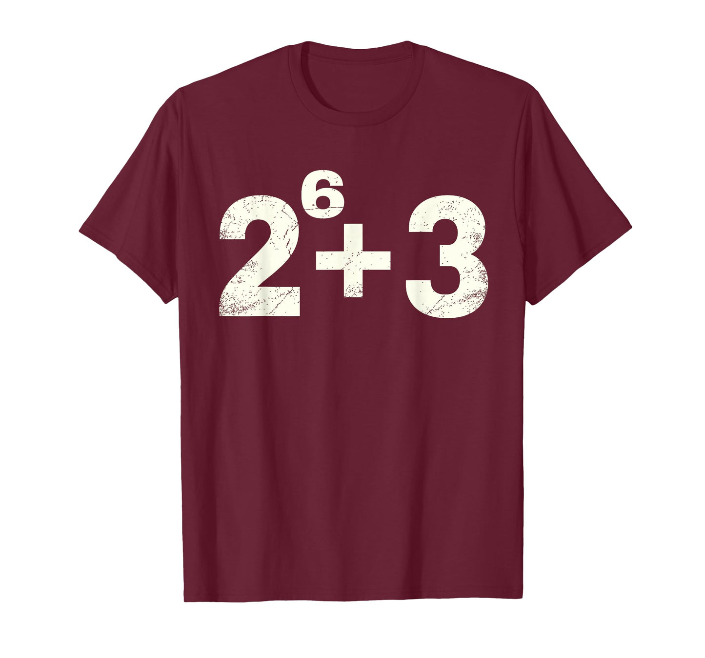 67ENDY 67 Year Old Funny Teacher 67th Birthday T-Shirt