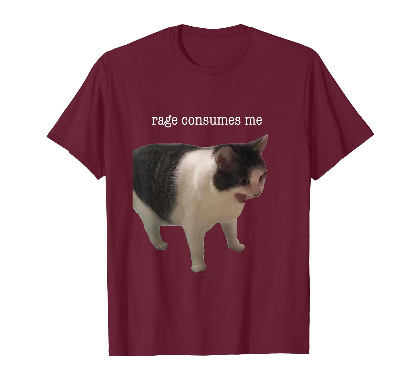 Rage Consumes Me Funny Cat Meme Men Women T-Shirt