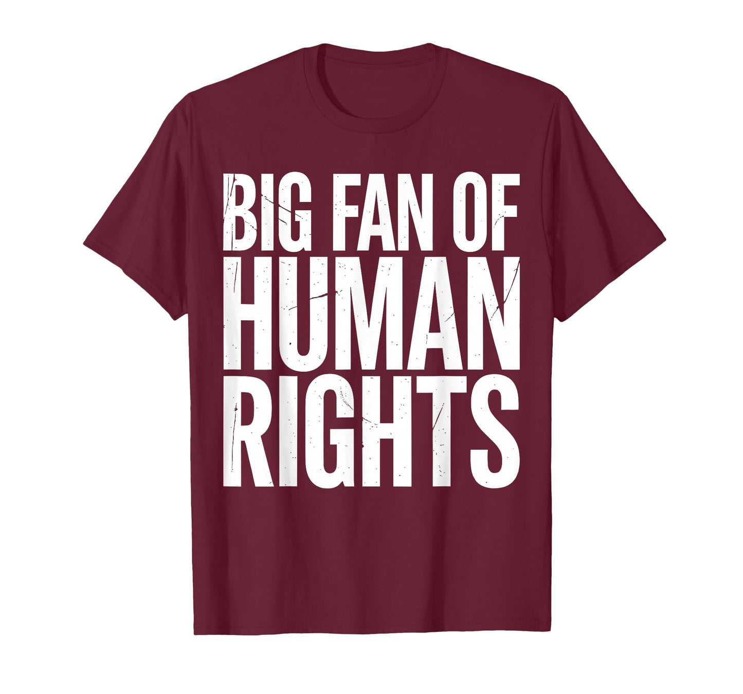 Big Fan of Human Rights Protest Voices United Equality Retro T-Shirt