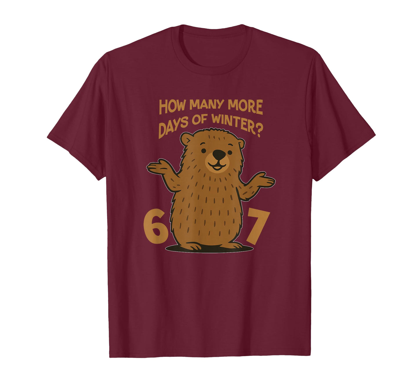 67 Groundhog Day Funny School Teacher Boy 6 7 T-Shirt