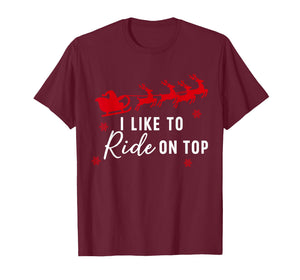 I Like to Ride On Top I Like to Slide Inside Couple Matching T-Shirt