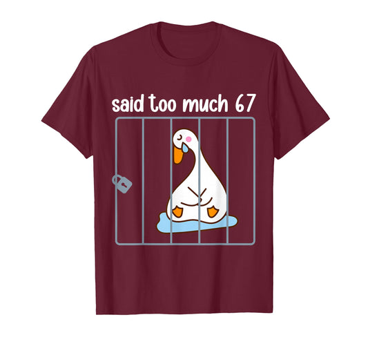Said Too Much 67 Funny Silly Goose 6-7 Humor Six Seven 6 7 T-Shirt