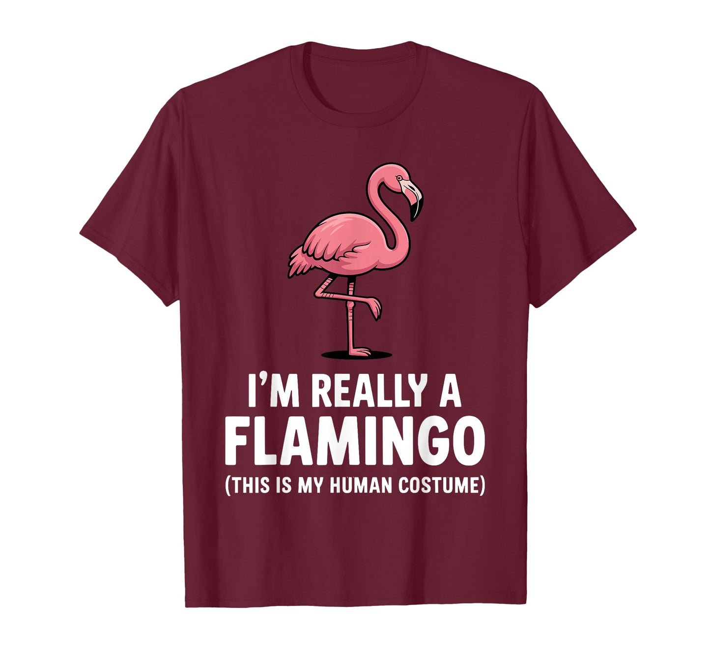 Funny Flamingo Design for Men Women Kids Bird Pink Flamingo T-Shirt