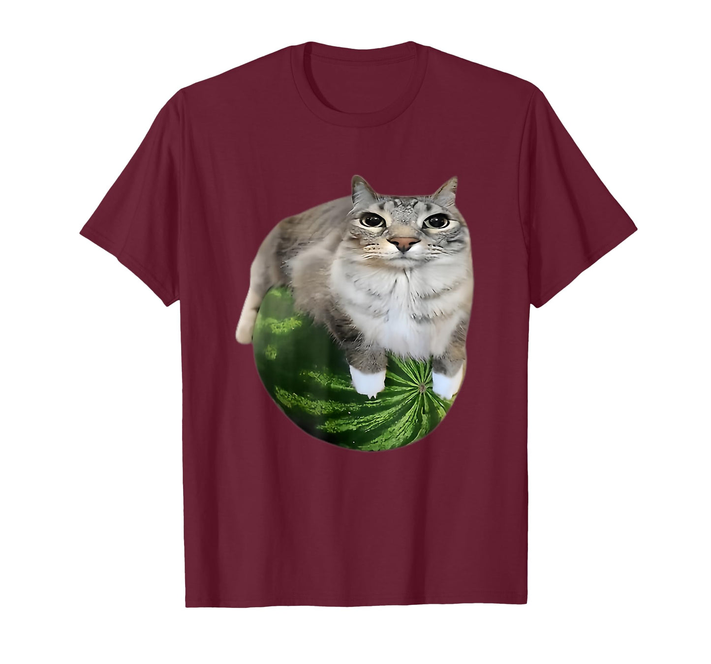 Funny Watermelon Cat Silly Meme T-Shirt
