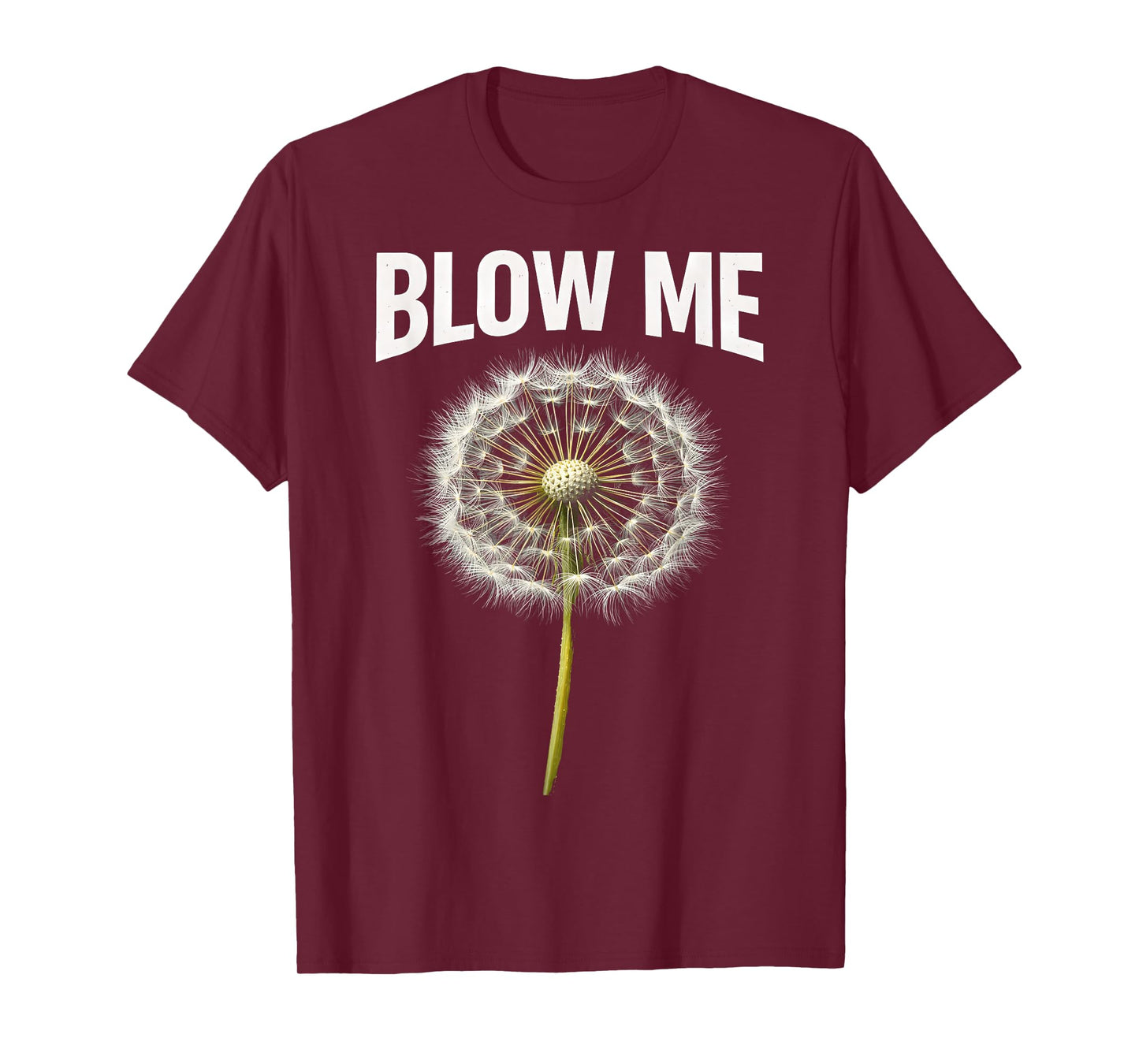 Funny Dandelion Flower Sarcastic Humor Quote Vintage Blow Me T-Shirt