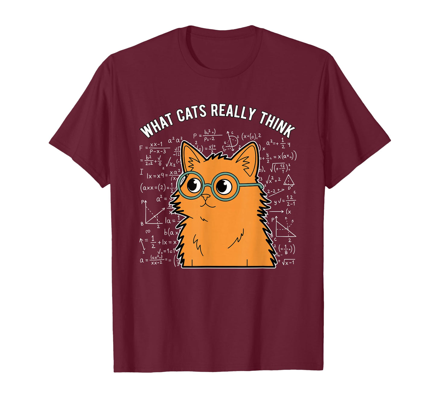 What Cats Really Think Funny Nerdy Math Cat Equations T-Shirt
