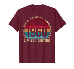 66 Year Old Gifts Vintage 1960 Limited Edition 66th Birthday T-Shirt