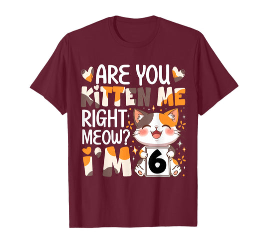 6th Birthday 6 Year Old Kitten Me Right Meow Cat Bday Girl T-Shirt