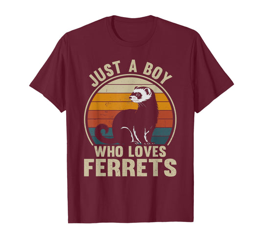 Just A Boy Who Loves Ferrets Recto Ferret Lover T-Shirt