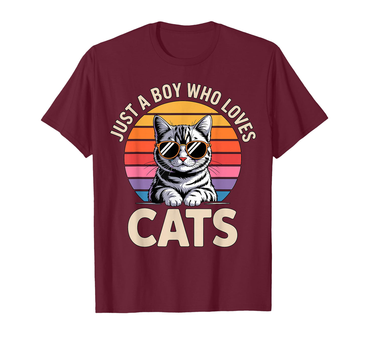 Just a Boy Who Loves Cats T-Shirt