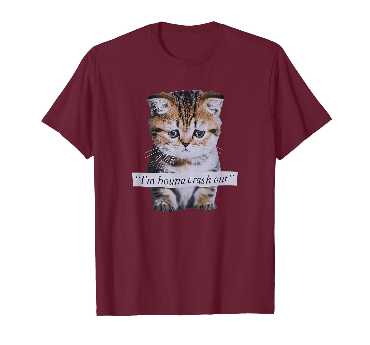 I'm Boutta Crash Out Cat Funny Meme Cat Pet Lover T-Shirt