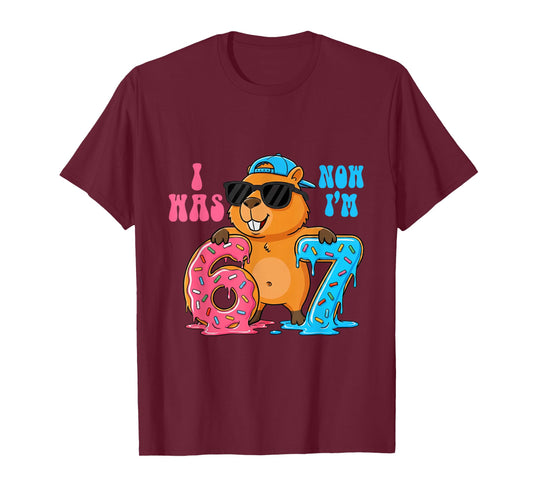 I was Six Now I'm Seven 6 7 Capybara 67 Meme 7th Birthday T-Shirt
