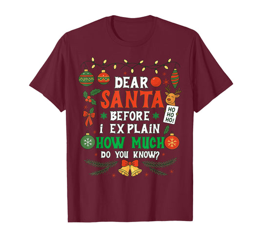 Dear Santa I Can Explain Funny Christmas Men Women Kids T-Shirt