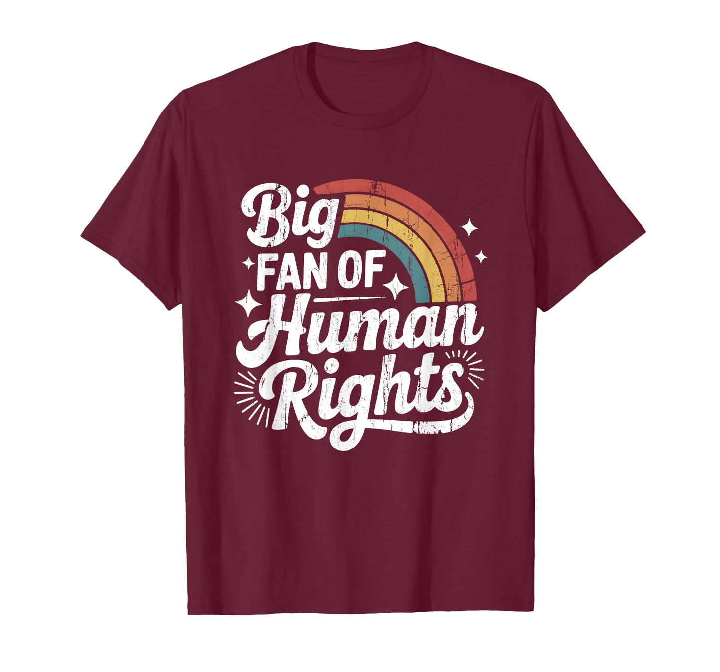 Big Fan of Human Rights, Social Justice, Equality LGBT Gay T-Shirt