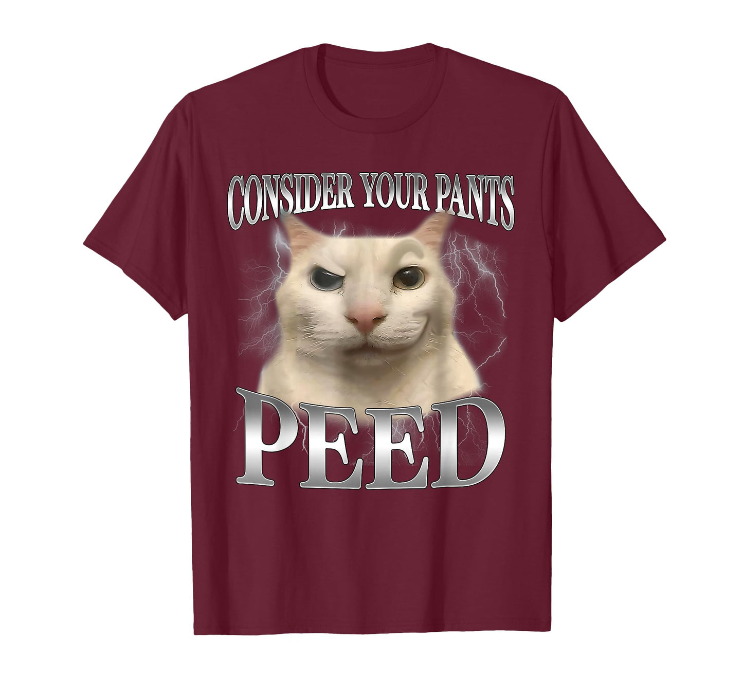 Consider Your Pants Peed Funny Freak Cat Meme Humor Saying T-Shirt