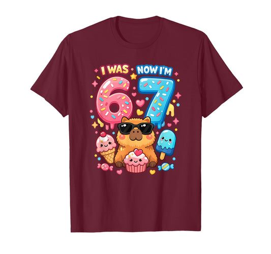 I was 6 Now I'm 7 Birthday 67 Meme Capybara Ice Cream Kawaii T-Shirt