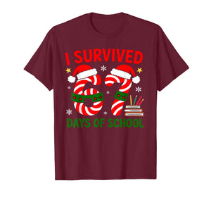 I Survived 67 Days of School Christmas Book Pencil T-Shirt