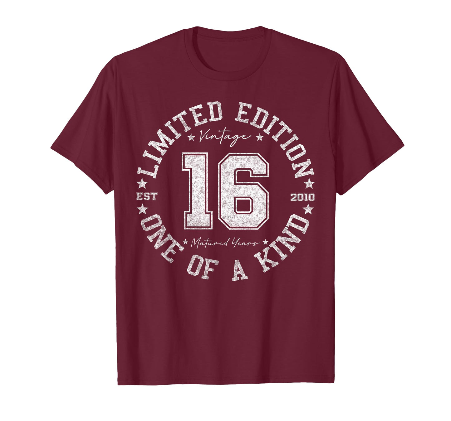 16 Year Old Gifts Vintage 2010 Limited Edition 16th Birthday T-Shirt