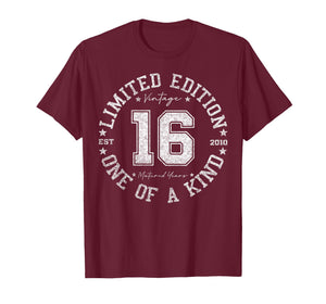 16 Year Old Gifts Vintage 2010 Limited Edition 16th Birthday T-Shirt