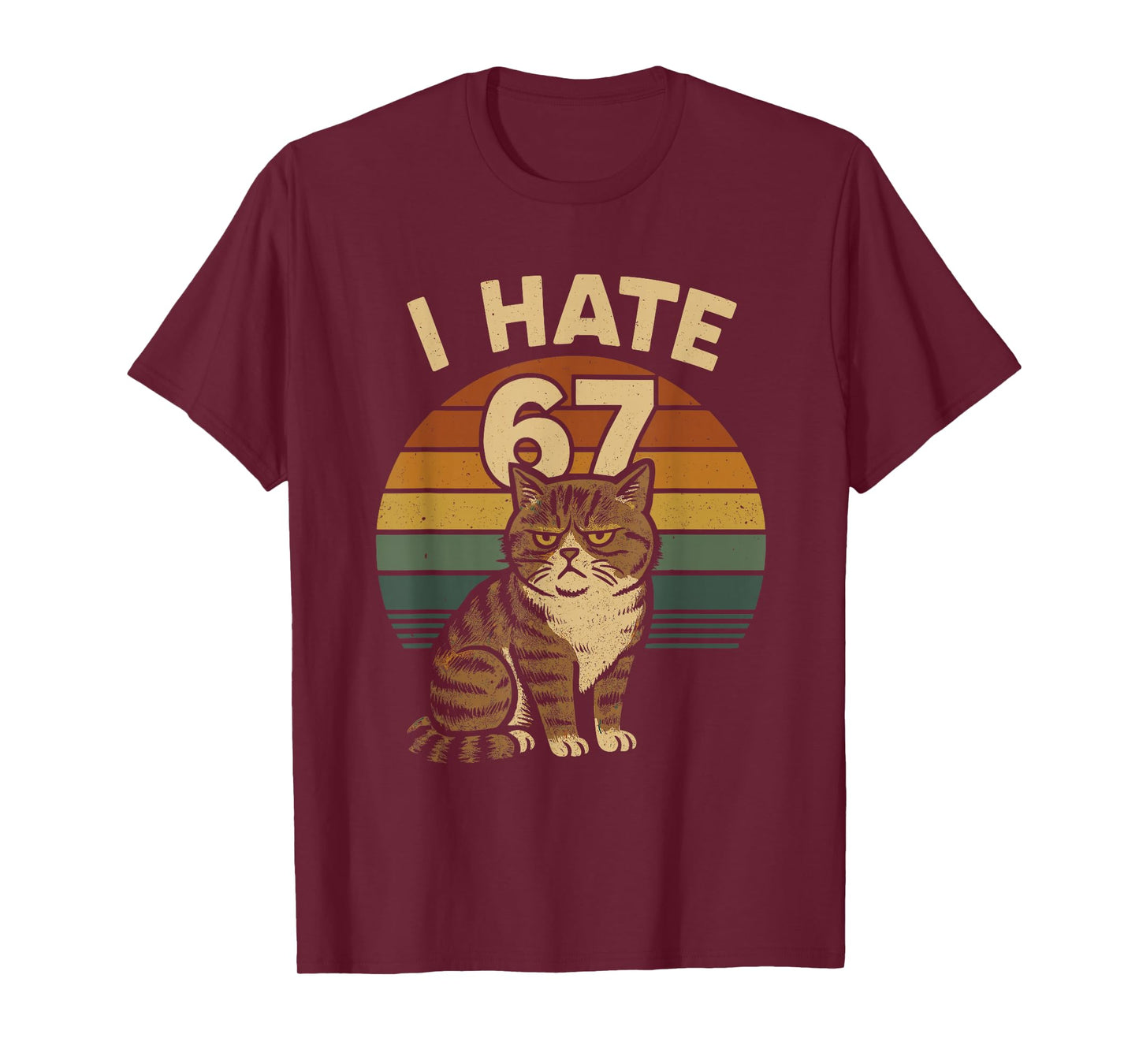 I Hate 67 Meme Cat Funny Internet Trend Humor Brainrot Youth T-Shirt