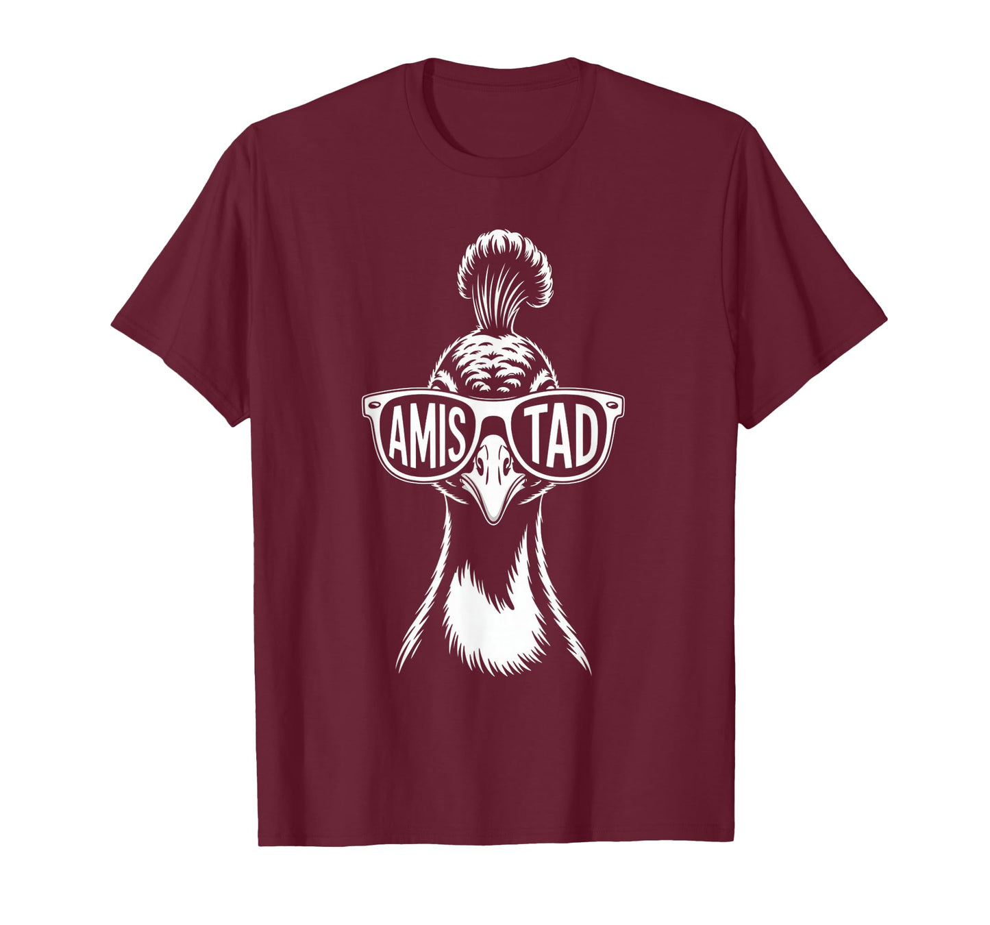 Amistad House of Friendship, School Spirit Teachers Students T-Shirt