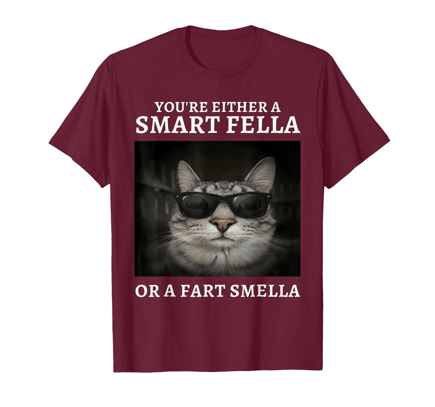 You're Either A Smart Fella Or A Fart Smella Funny Cat Meme T-Shirt