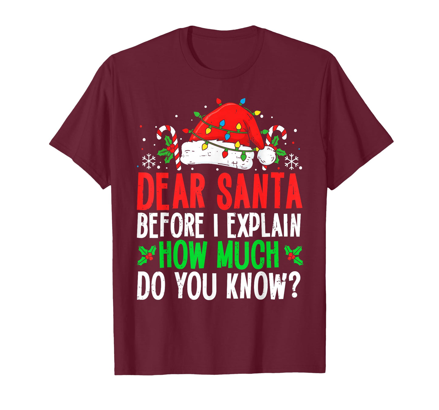 Funny Christmas Kids Adults Dear Santa I Can Explain T-Shirt