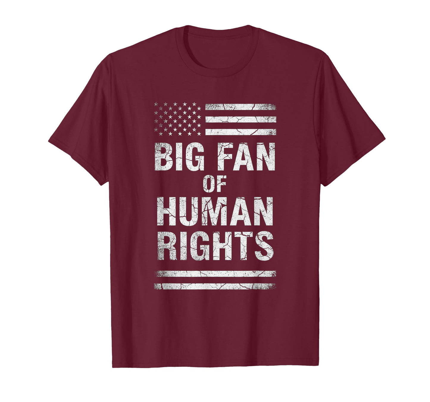 Big Fan of Human Rights Distressed American Flag Activist T-Shirt
