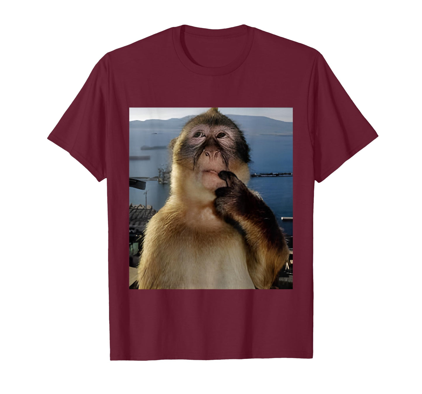 Funny Thinking Monkey Meme T-Shirt Curious Ape Brainrot Gift T-Shirt