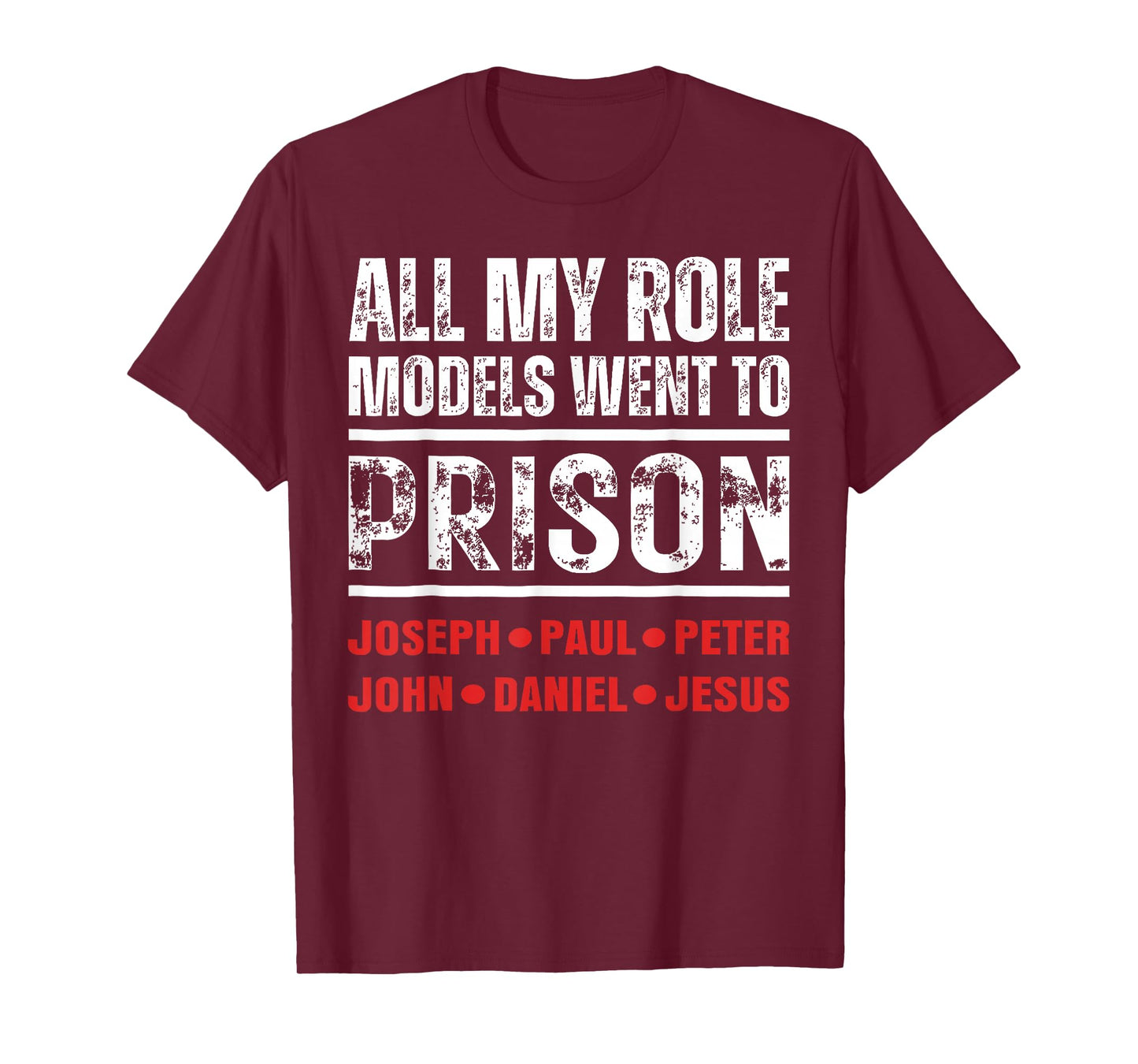 Funny All My Role Models Went to Prison T-Shirt